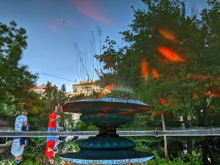 Flying Goldfish Spirits