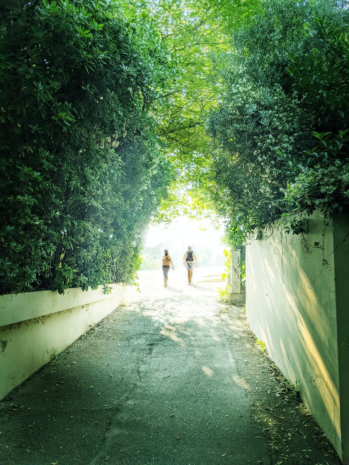 Entering The Gates Of Heaven