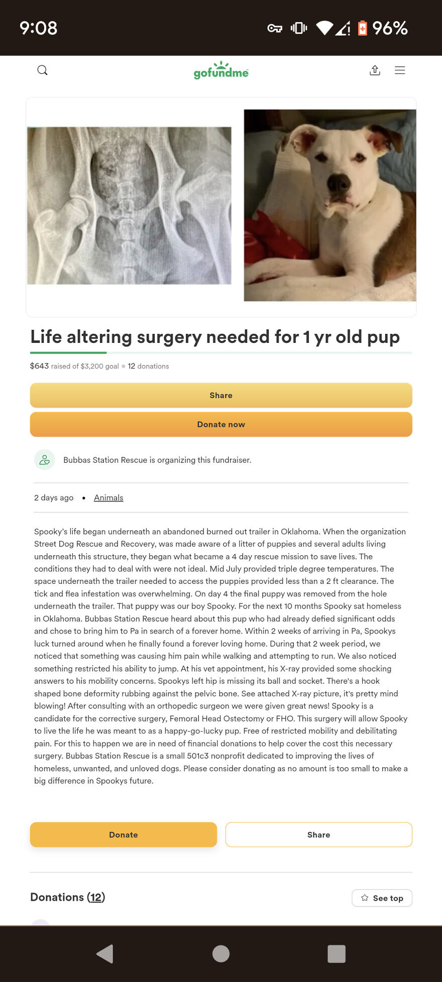 Please Help Our Pup