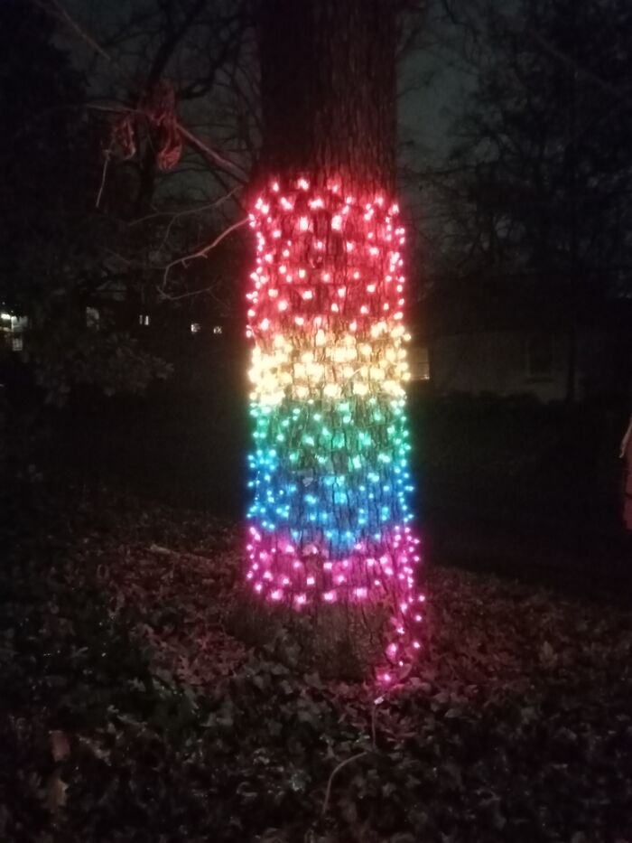 I Was Gonna Just Google A Pic Of The Pan Flag And Post That (I Don't Have One Yet Cause I Haven't "Officially" Come Out Yet) But You Did Say "In Your Home" Or Something Like That In The Title, So While This Isn't A Flag, This Is Our Pride Tree! (Sorry For The Blurry Picture)
