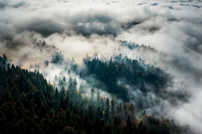 Misty Morning From Above