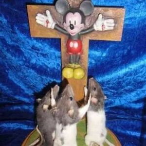 Rat Jesus