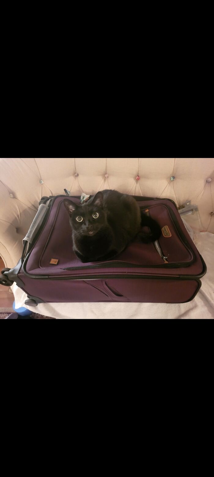 This Suitcase Is Staying Empty!