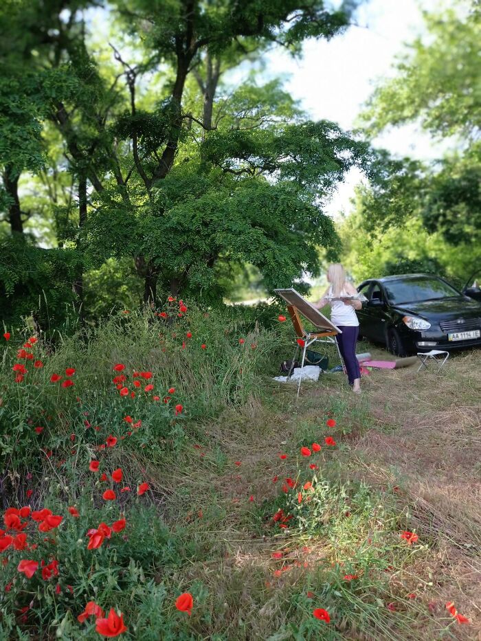 We Painted Poppies In The Field (25 Pics) We Painted Poppies In The Field (25 Pics)