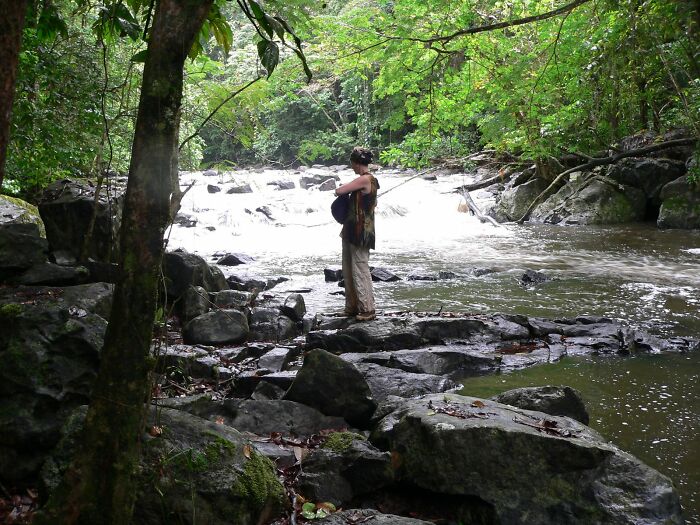 The Primary Rainforest Of Surinam. Brimming With Life Forms And Oxygen. No Roads, No People. Between The Tall Trees It's Like A Green Cathedral
