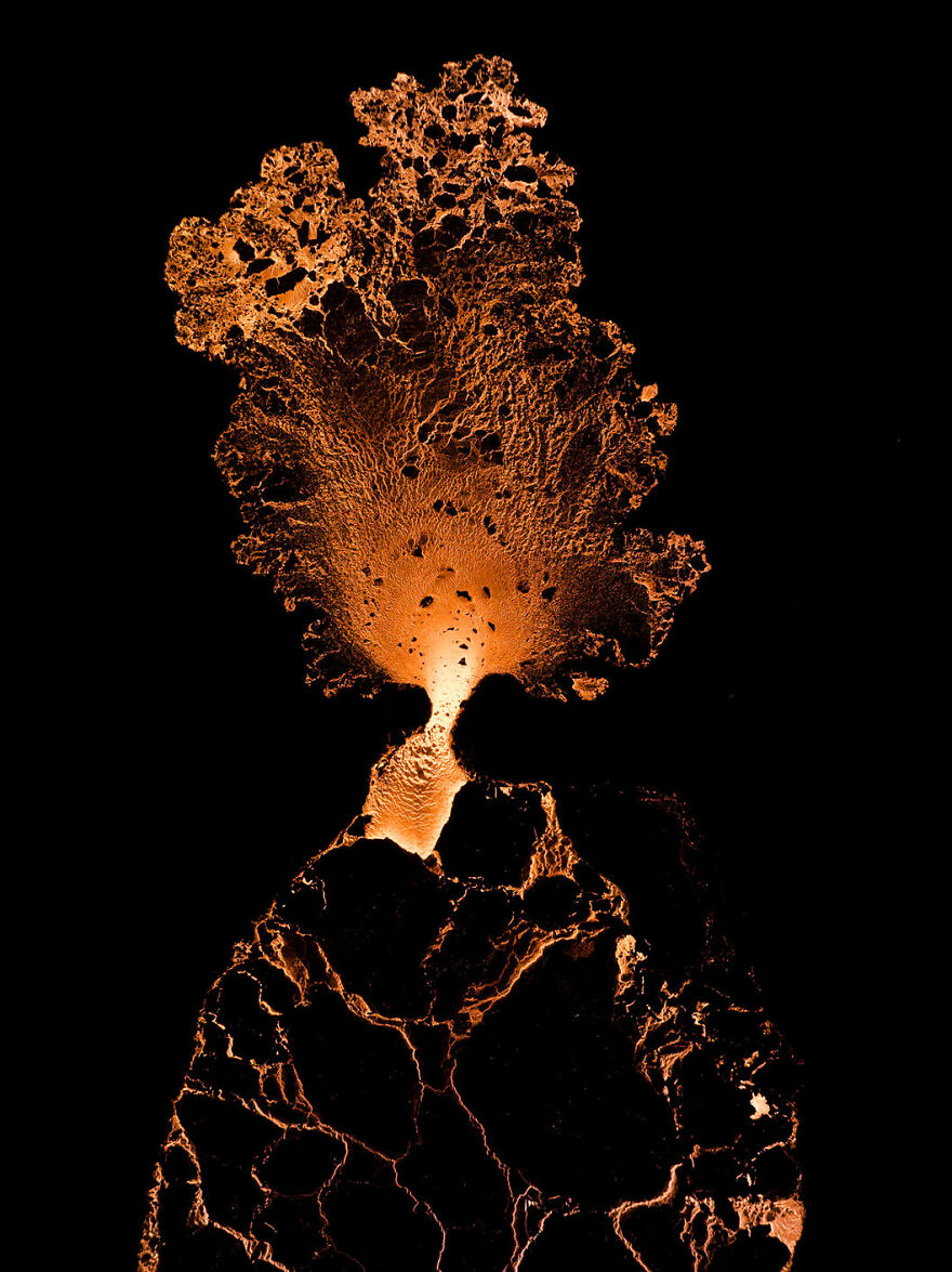 Art Of Nature Finalist - "Tree Of Life" By Karim Iliya