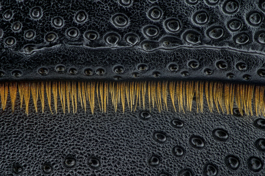 Art Of Nature Finalist - "Transition" By Thorben Danke