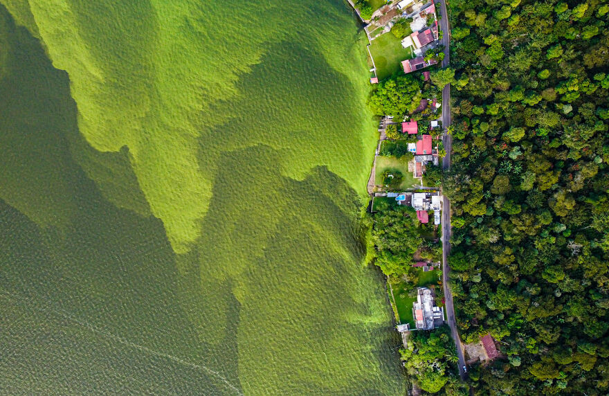 Human/Nature Finalist - "Lake In Pain" By Daniel Núñez