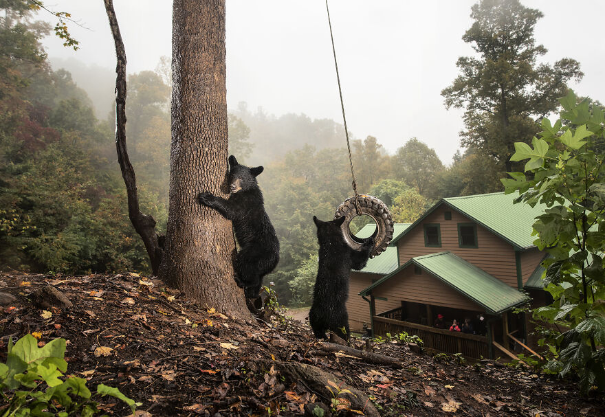 Photo Story: A Matter Of Time Finalist - "Cities Gone Wild" By Corey Arnold