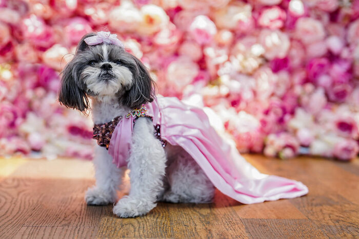 Layla, A Shichon As Naomi Campbell