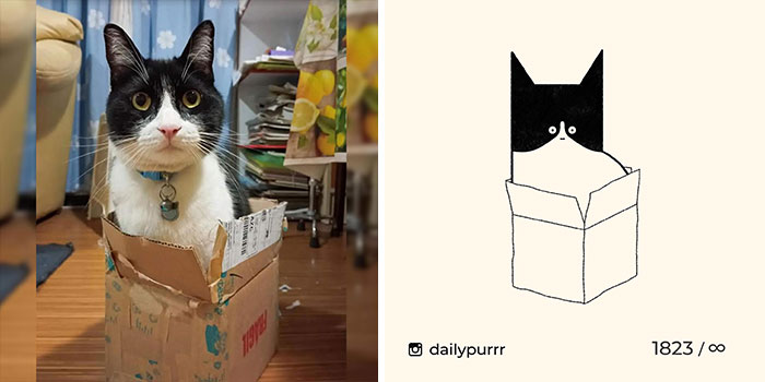 This Instagram Account Draws Really Accurate Cat Drawings