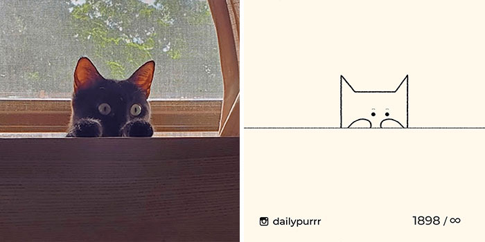 This Instagram Account Draws Really Accurate Cat Drawings