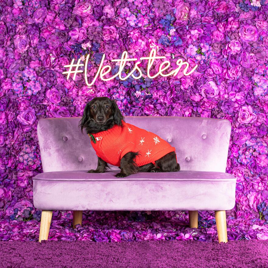 Winter Is Coming, But She's Ready