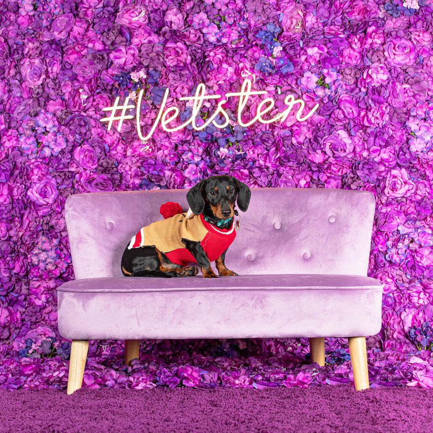 Someone's Looking Quite Fetching Today!