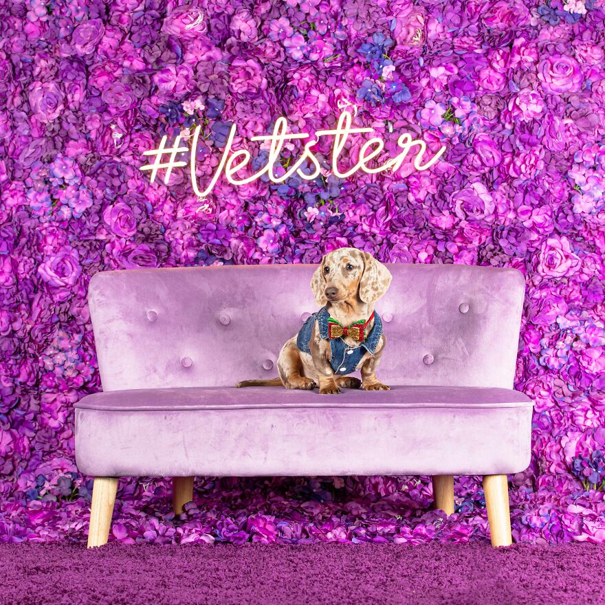 Just A Little Sausage