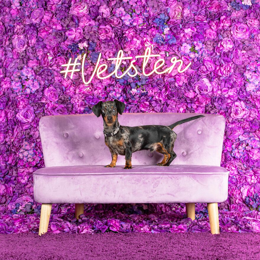 I’ve Got Friends In Low Places