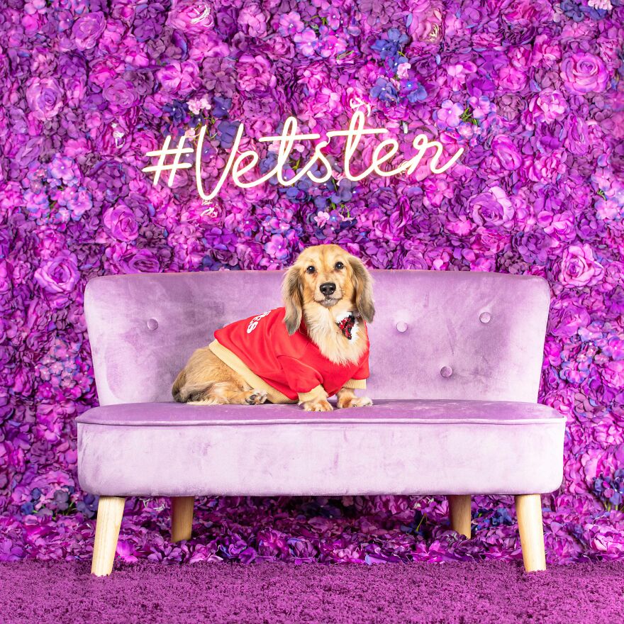 In This Race, The Weiner Takes It All