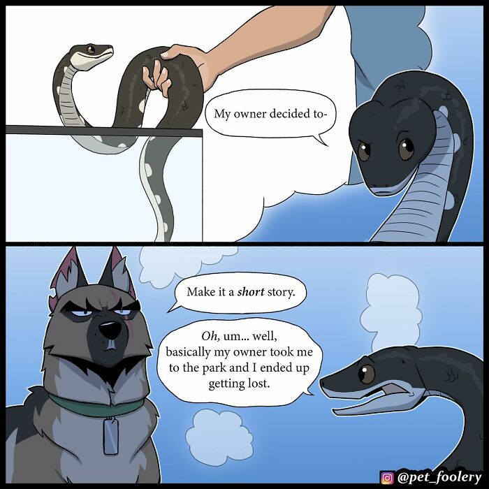 8 New Hilariously Adorable Comics About Brutus To Brighten Up Your Day 8 New Hilariously Adorable Comics About Brutus To Brighten Up Your Day