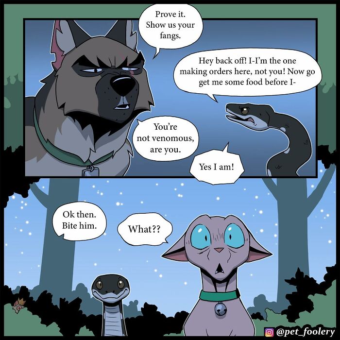 8 New Hilariously Adorable Comics About Brutus To Brighten Up Your Day 8 New Hilariously Adorable Comics About Brutus To Brighten Up Your Day