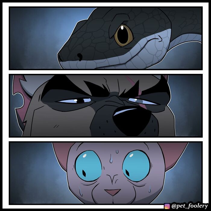 8 New Hilariously Adorable Comics About Brutus To Brighten Up Your Day 8 New Hilariously Adorable Comics About Brutus To Brighten Up Your Day