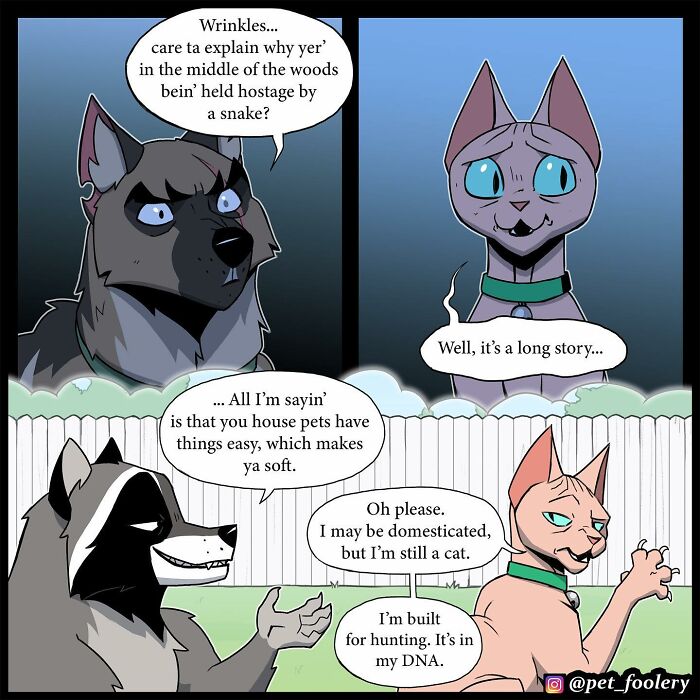 8 New Hilariously Adorable Comics About Brutus To Brighten Up Your Day 8 New Hilariously Adorable Comics About Brutus To Brighten Up Your Day