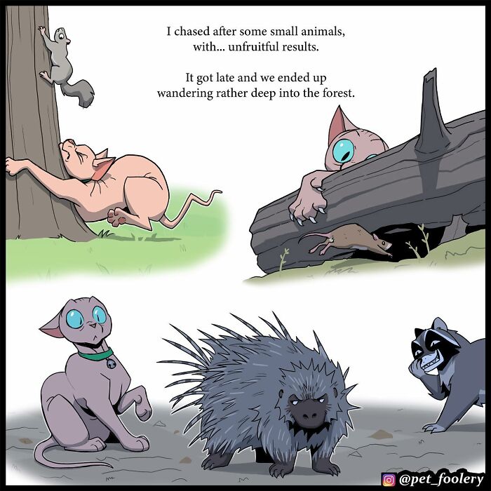 8 New Hilariously Adorable Comics About Brutus To Brighten Up Your Day 8 New Hilariously Adorable Comics About Brutus To Brighten Up Your Day