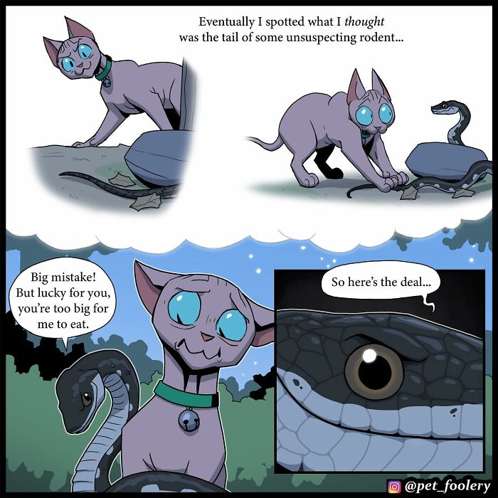 8 New Hilariously Adorable Comics About Brutus To Brighten Up Your Day 8 New Hilariously Adorable Comics About Brutus To Brighten Up Your Day