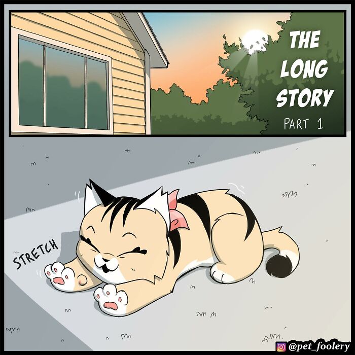 8 New Hilariously Adorable Comics About Brutus To Brighten Up Your Day 8 New Hilariously Adorable Comics About Brutus To Brighten Up Your Day