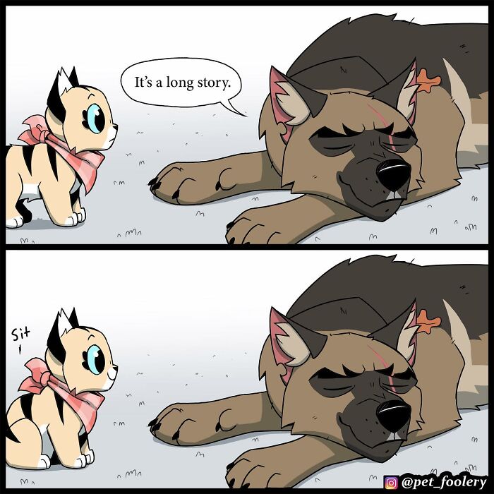 8 New Hilariously Adorable Comics About Brutus To Brighten Up Your Day 8 New Hilariously Adorable Comics About Brutus To Brighten Up Your Day