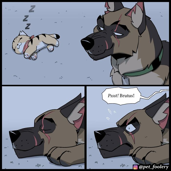 8 New Hilariously Adorable Comics About Brutus To Brighten Up Your Day 8 New Hilariously Adorable Comics About Brutus To Brighten Up Your Day