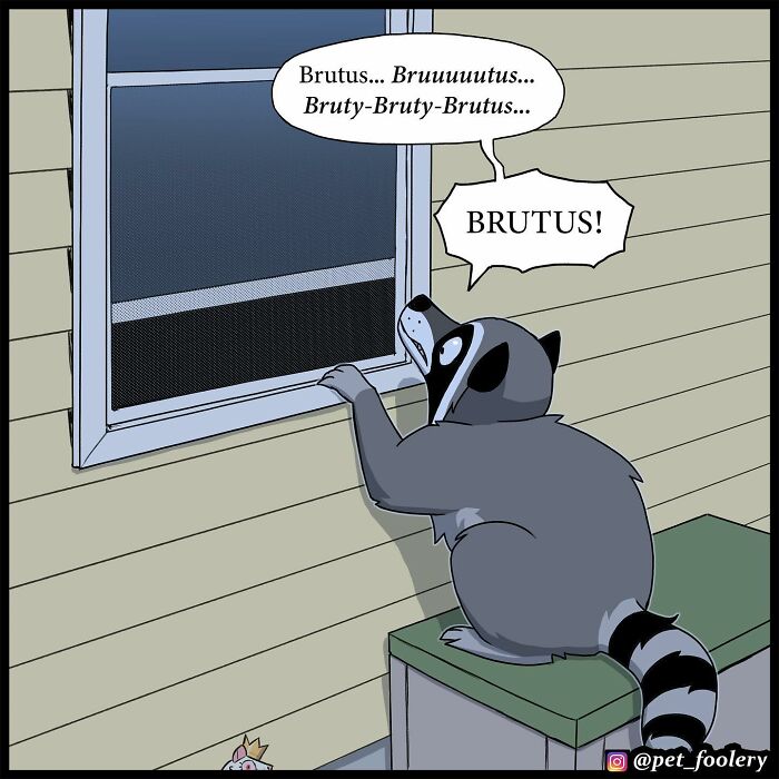 8 New Hilariously Adorable Comics About Brutus To Brighten Up Your Day