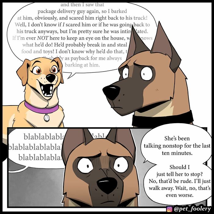 8 New Hilariously Adorable Comics About Brutus To Brighten Up Your Day 8 New Hilariously Adorable Comics About Brutus To Brighten Up Your Day