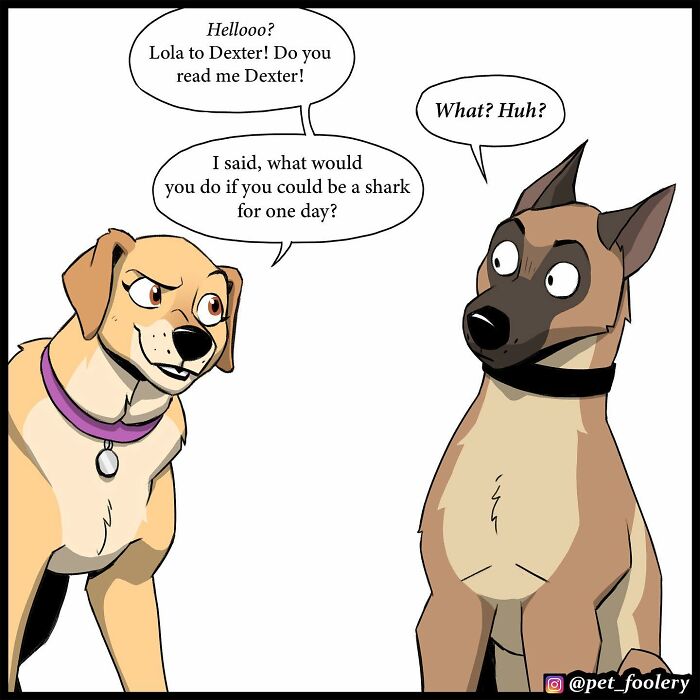 8 New Hilariously Adorable Comics About Brutus To Brighten Up Your Day 8 New Hilariously Adorable Comics About Brutus To Brighten Up Your Day