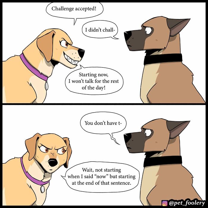 8 New Hilariously Adorable Comics About Brutus To Brighten Up Your Day 8 New Hilariously Adorable Comics About Brutus To Brighten Up Your Day