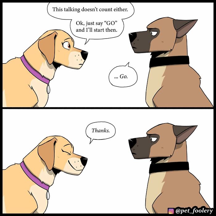 8 New Hilariously Adorable Comics About Brutus To Brighten Up Your Day 8 New Hilariously Adorable Comics About Brutus To Brighten Up Your Day