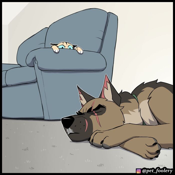 8 New Hilariously Adorable Comics About Brutus To Brighten Up Your Day 8 New Hilariously Adorable Comics About Brutus To Brighten Up Your Day