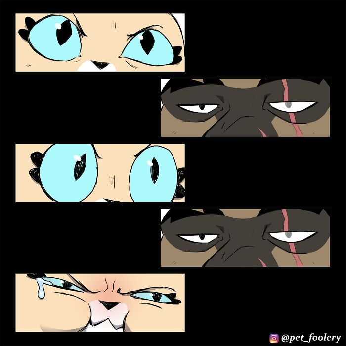 8 New Hilariously Adorable Comics About Brutus To Brighten Up Your Day 8 New Hilariously Adorable Comics About Brutus To Brighten Up Your Day