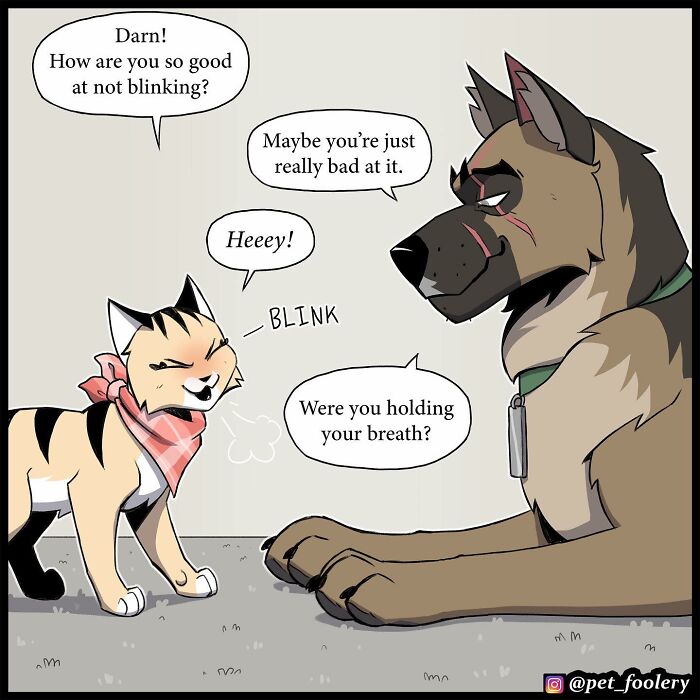 8 New Hilariously Adorable Comics About Brutus To Brighten Up Your Day 8 New Hilariously Adorable Comics About Brutus To Brighten Up Your Day