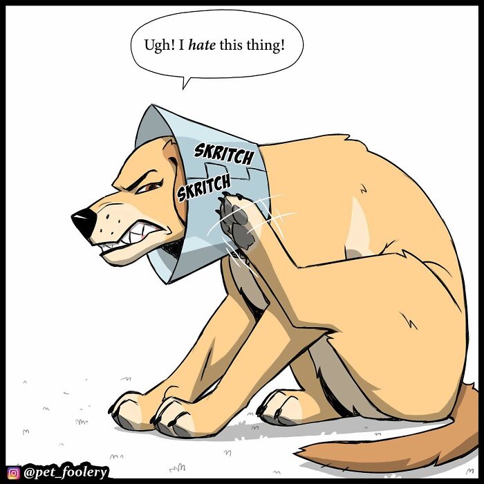 8 New Hilariously Adorable Comics About Brutus To Brighten Up Your Day 8 New Hilariously Adorable Comics About Brutus To Brighten Up Your Day