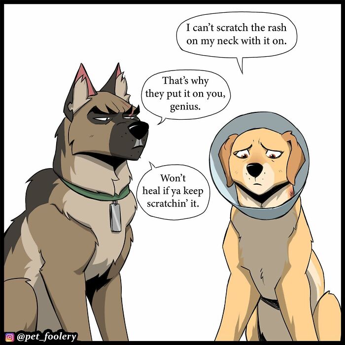 8 New Hilariously Adorable Comics About Brutus To Brighten Up Your Day 8 New Hilariously Adorable Comics About Brutus To Brighten Up Your Day