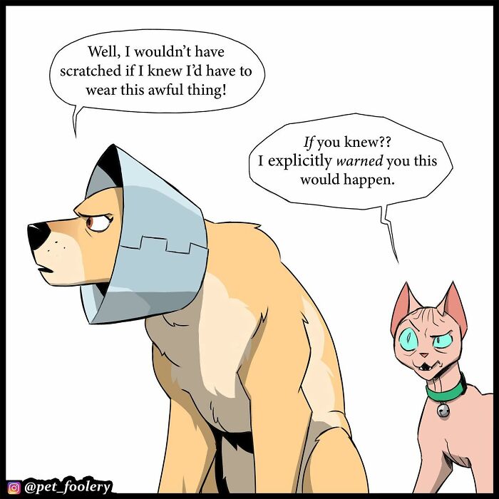 8 New Hilariously Adorable Comics About Brutus To Brighten Up Your Day 8 New Hilariously Adorable Comics About Brutus To Brighten Up Your Day