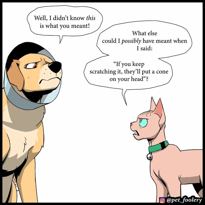 8 New Hilariously Adorable Comics About Brutus To Brighten Up Your Day 8 New Hilariously Adorable Comics About Brutus To Brighten Up Your Day