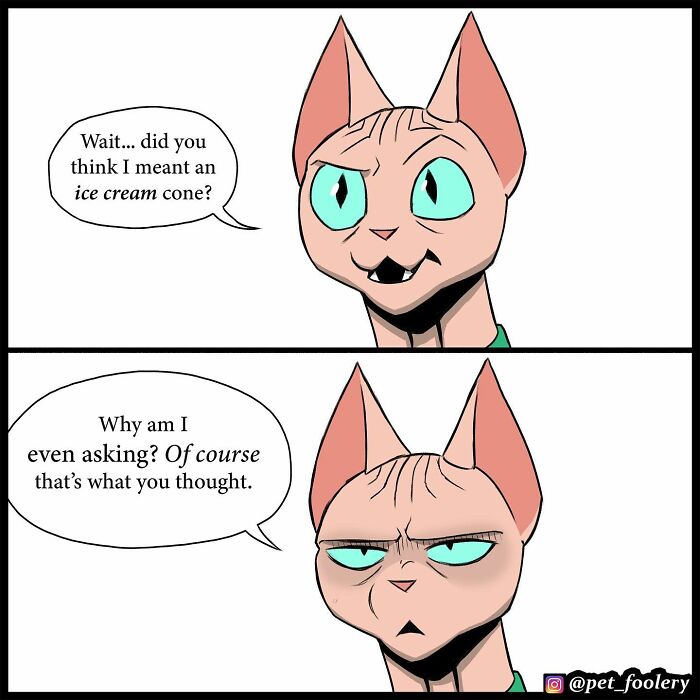 8 New Hilariously Adorable Comics About Brutus To Brighten Up Your Day 8 New Hilariously Adorable Comics About Brutus To Brighten Up Your Day