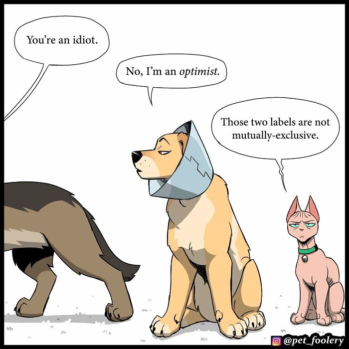 8 New Hilariously Adorable Comics About Brutus To Brighten Up Your Day