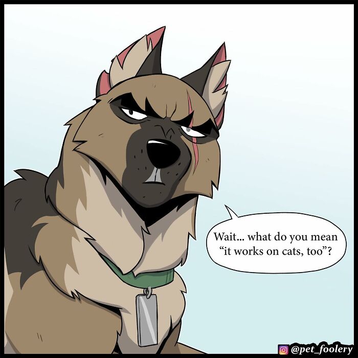 8 New Hilariously Adorable Comics About Brutus To Brighten Up Your Day 8 New Hilariously Adorable Comics About Brutus To Brighten Up Your Day