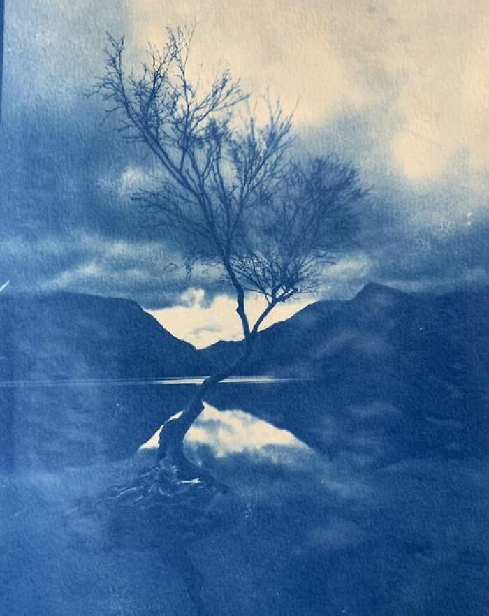 My First Ever Attempt At Cyanotype Printing