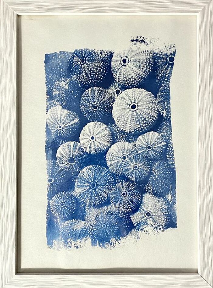 Classic Cyanotype, But For Me It's The First 🥰 (Updated With A Non-Yellow Photo)