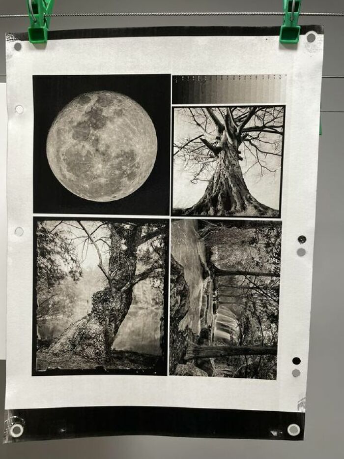 Print Made With Printmaker’s Friend Moon- Brian Shelton Upper Right Tree- Richard Hildred Lower Left Tree- Borut Peterlin Stream- Javier Hinojosa
