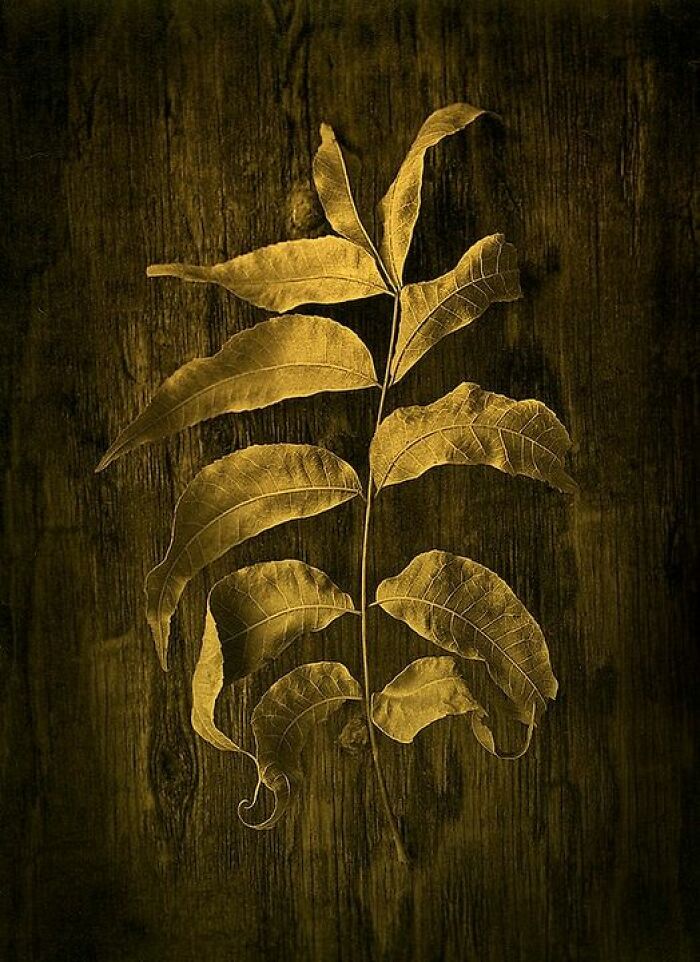 Palladium, Gold Leaf