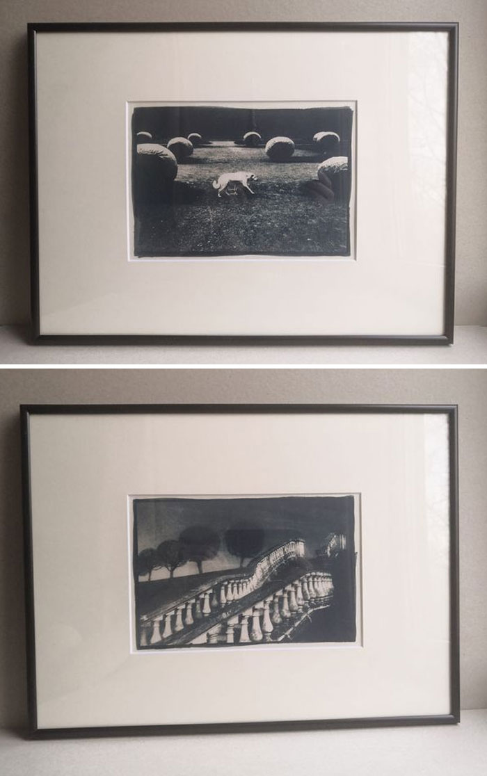 Toned Cyanotypes, Paper Fabriano Satinata 100% Cotton. Size 30*40cm (Frame With Acrylic Glass)